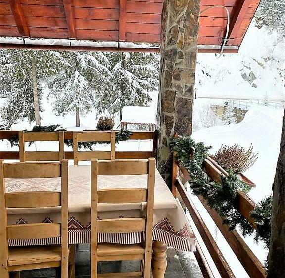 Pensiunea Simona Arieseni