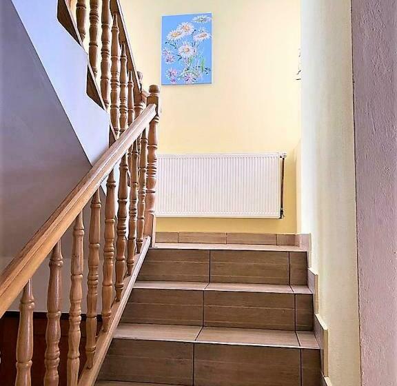 Pensiunea Simona Arieseni