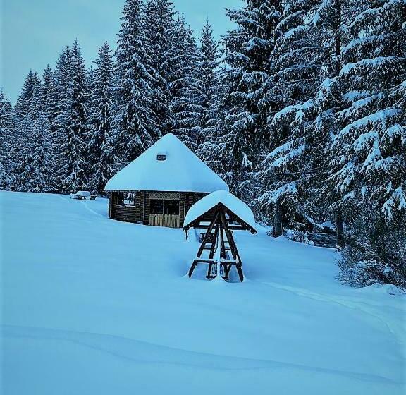 Pensiunea Simona Arieseni