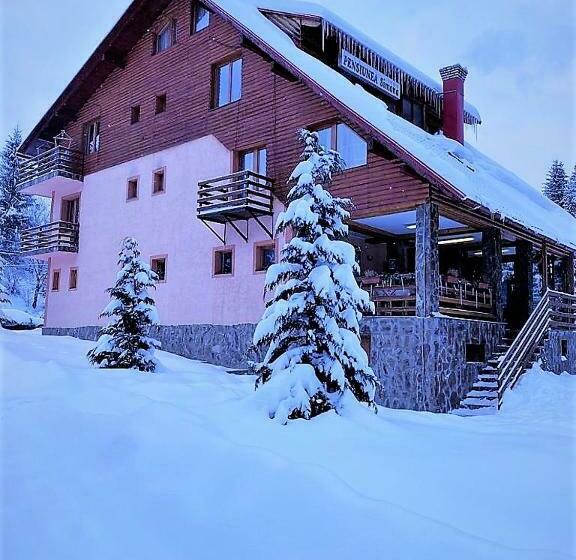 Pensiunea Simona Arieseni