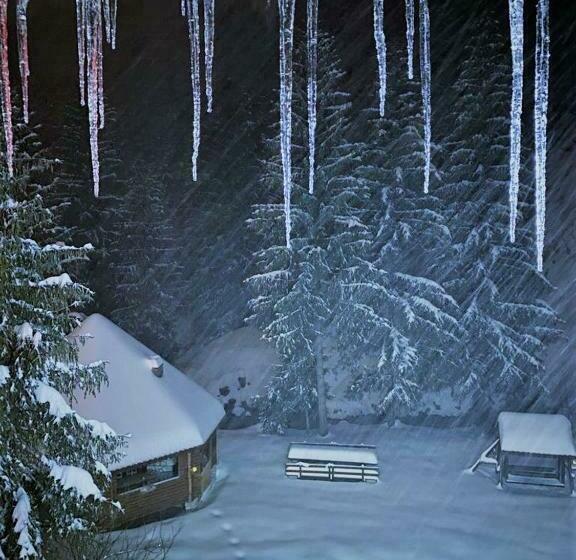 Pensiunea Simona Arieseni