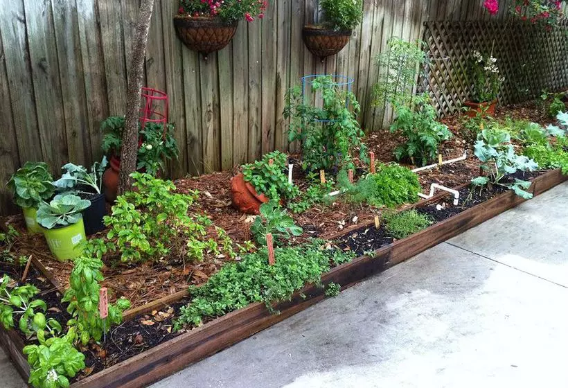 住宿加早餐 Elliott House