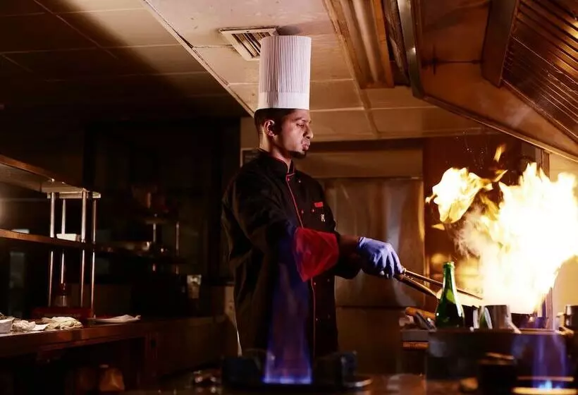 ホテル Afrad International