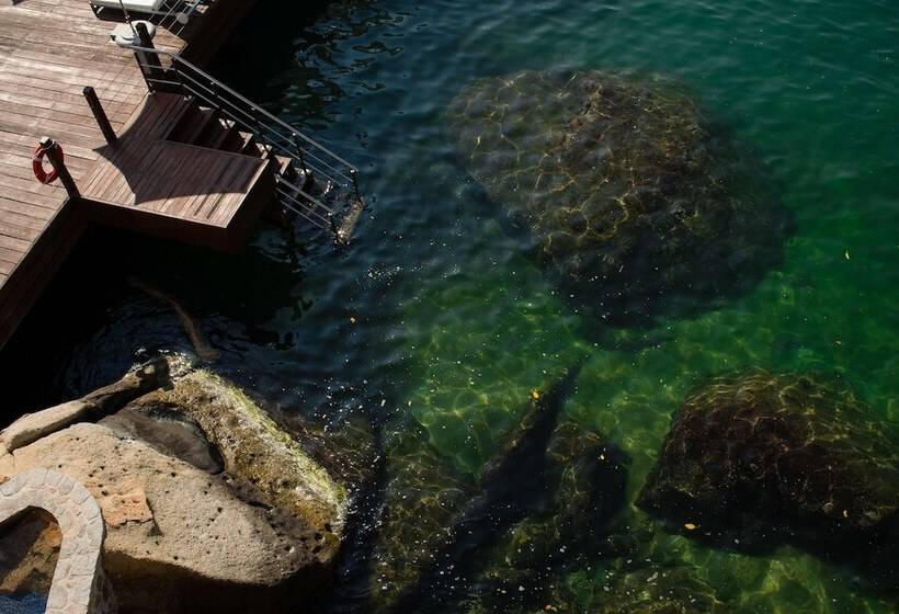 בית מלון כפרי B Pichilingue Acapulco