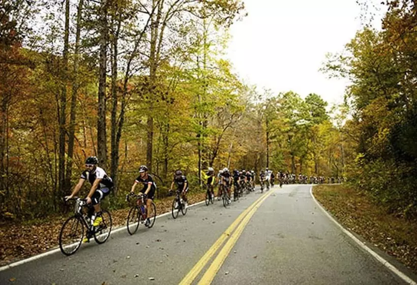 בית מלון כפרי Domestique
