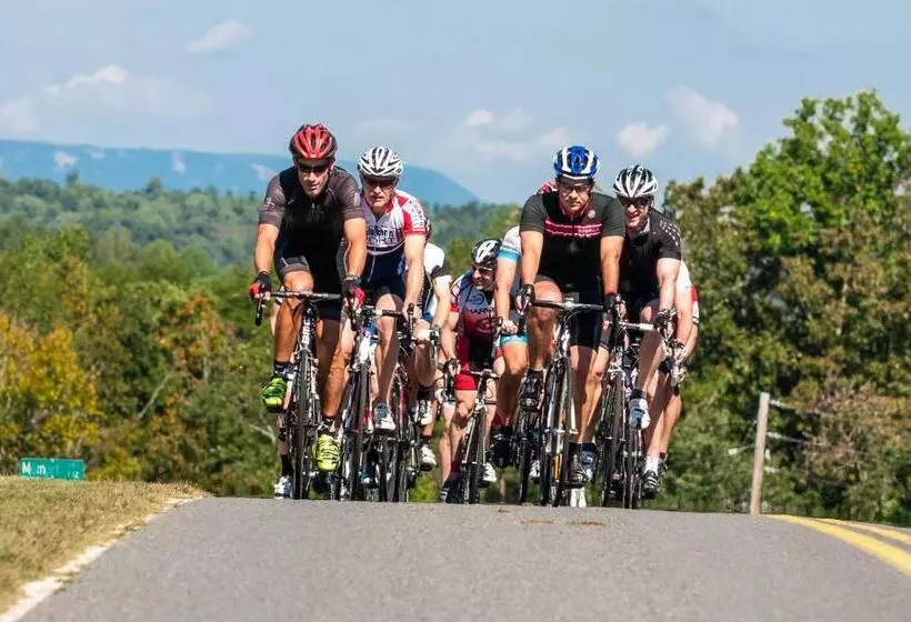 בית מלון כפרי Domestique