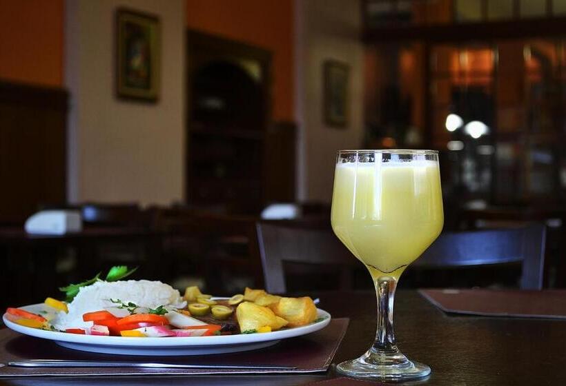 Palace Hotel Campos Dos Goytacazes