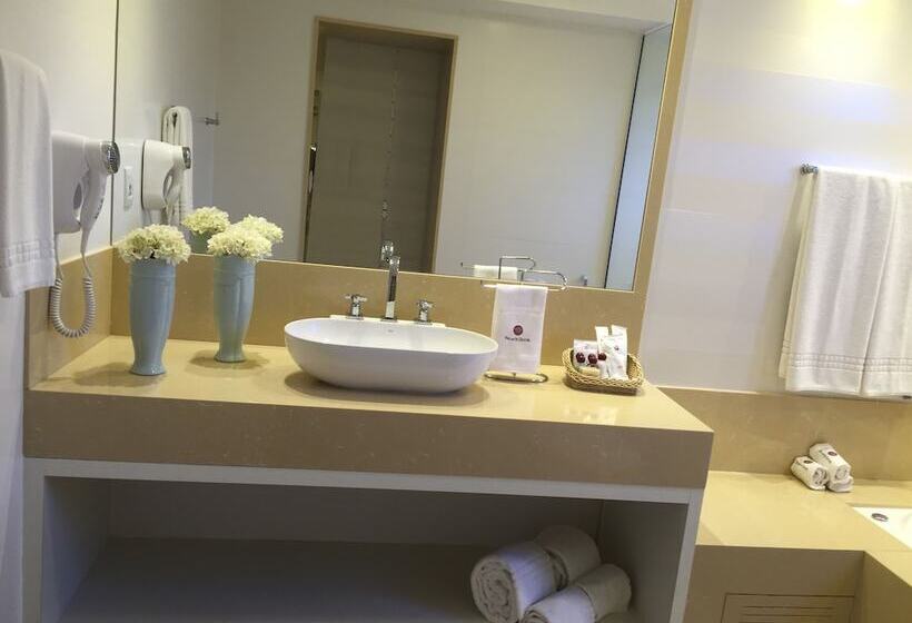 Palace Hotel Campos Dos Goytacazes