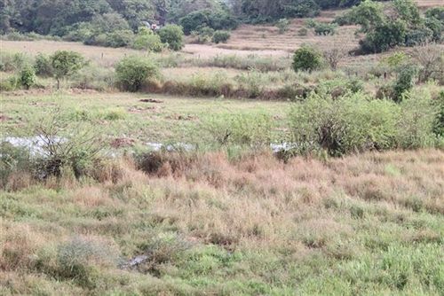 Hotel Stay Simple Jesant Valley