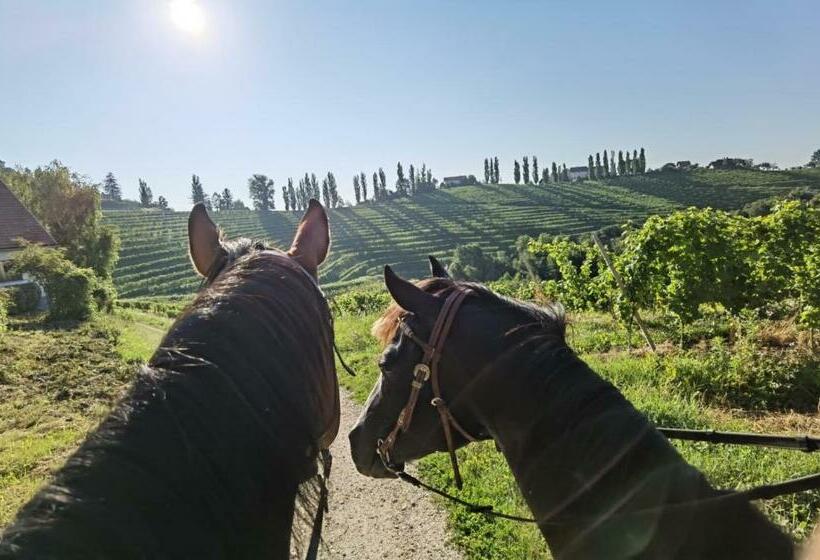 Aamiaismajoitus (B&B) Hiša Pep S