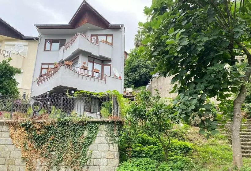 تختخواب و صبحانه Villa With Nature And Sea View