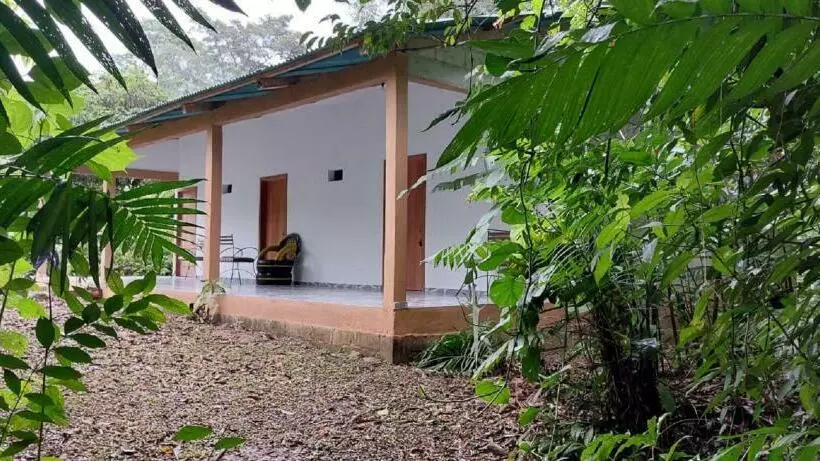 Hotelli Cabaña Sak Ja Selva Lacandona