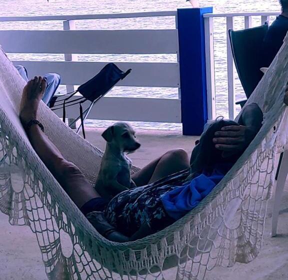 Hotel Treasure By The Sea Resort   Happy Hill