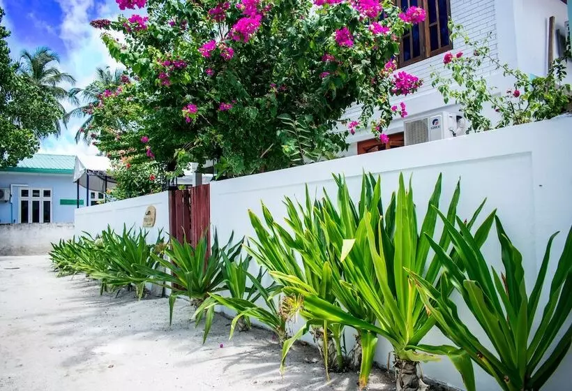 پانسیون Masfalhi View Inn