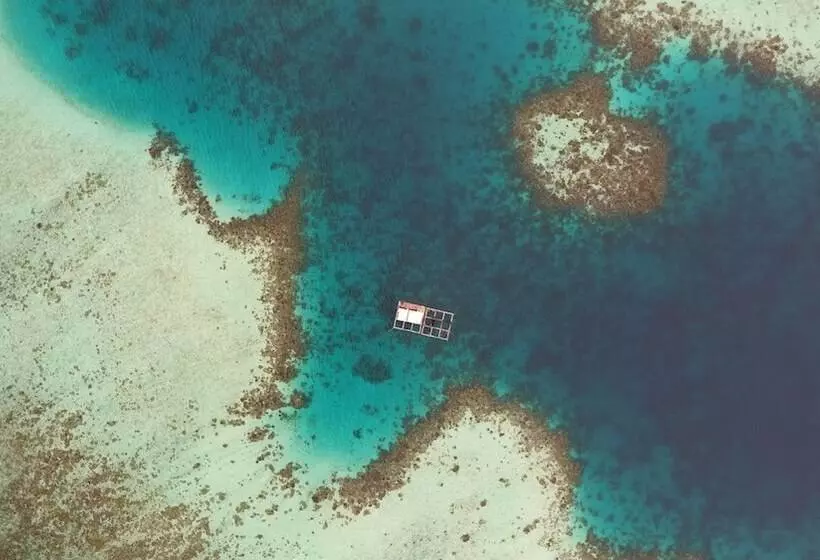 پانسیون Masfalhi View Inn