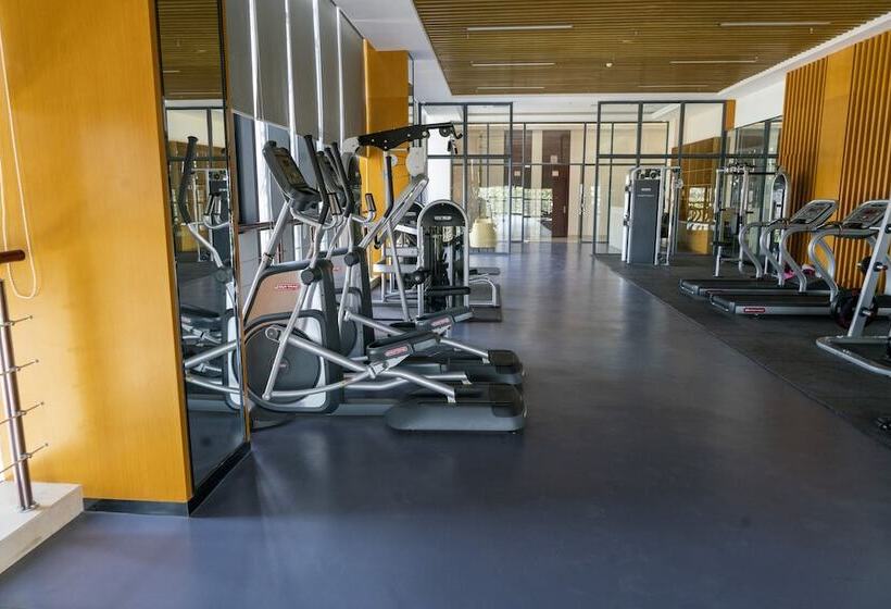 אתר נופש St Vegas