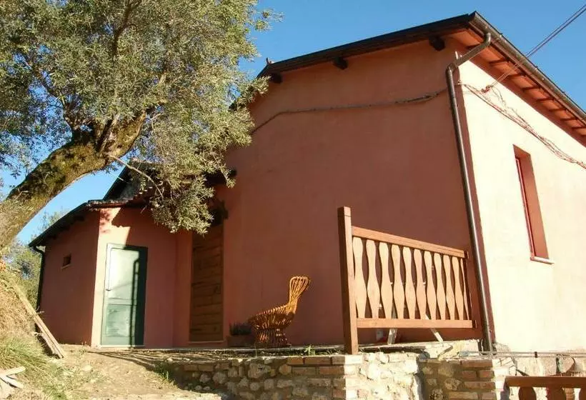 ホテル Azienda Agricola Colle Paradiso