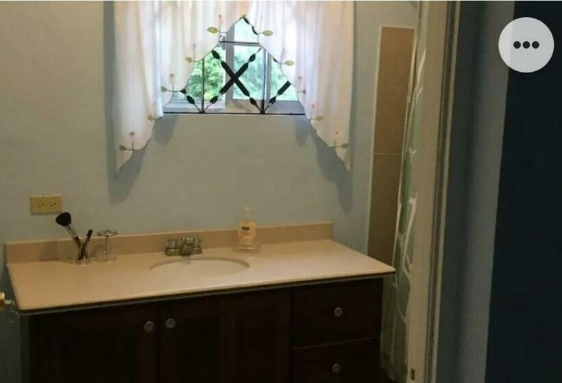 ペンション A Piece Of Paradise