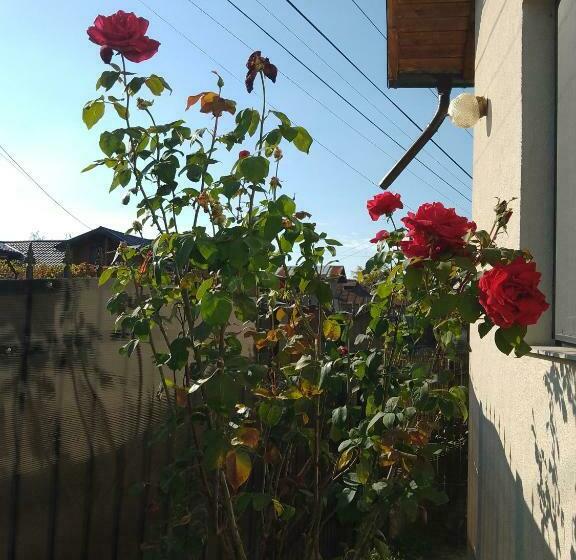 פנסיון Casa Lavandei