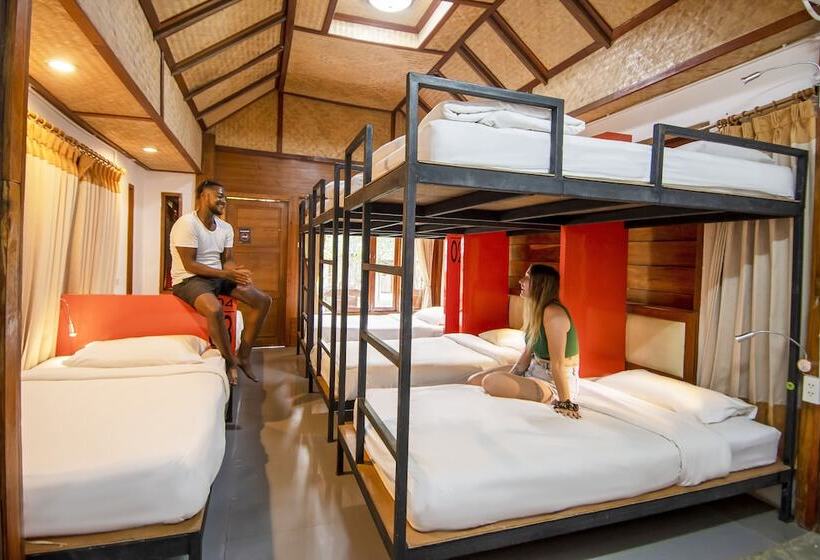 Общежитие Mad Monkey Pai