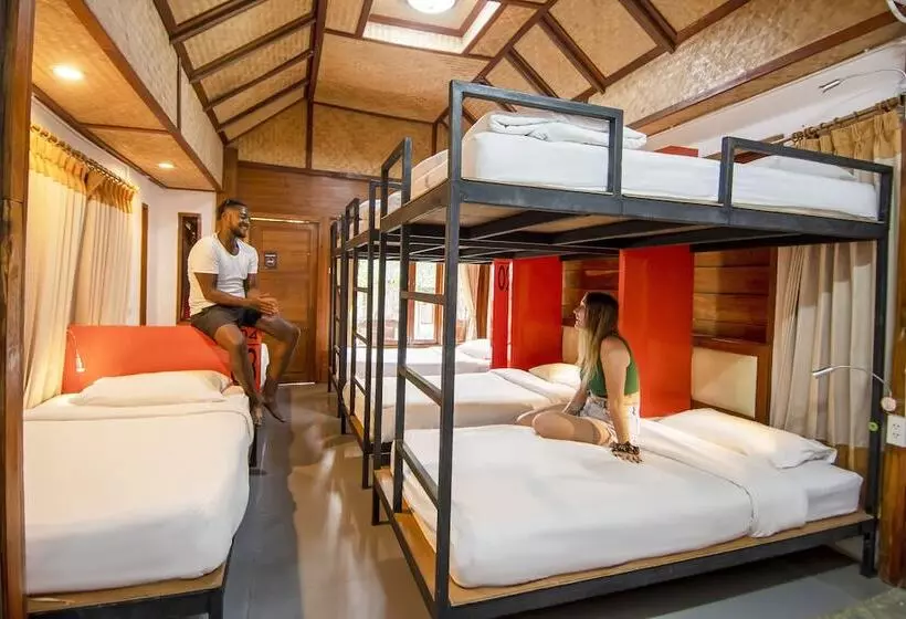 ユースホステル Mad Monkey Pai