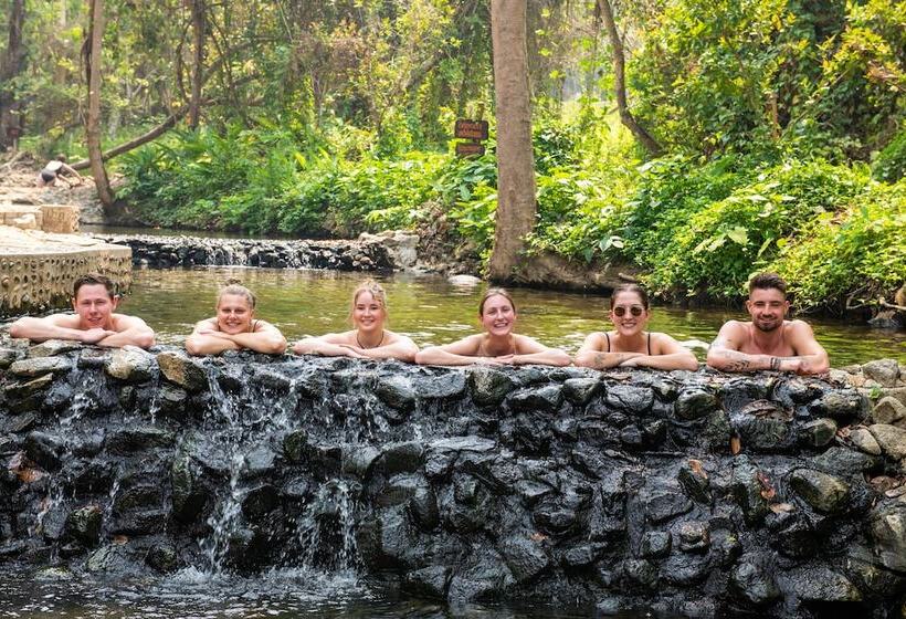 Общежитие Mad Monkey Pai