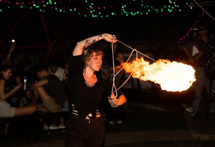 Общежитие Mad Monkey Pai