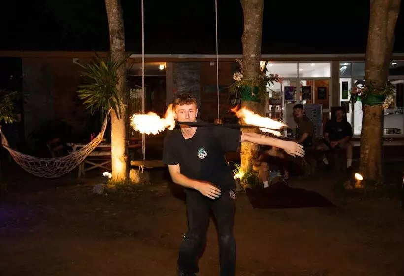 ユースホステル Mad Monkey Pai