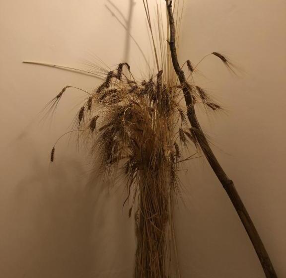 ペンション Verso Est