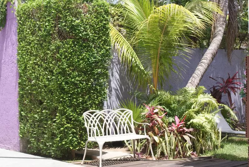 Otel Hc Internacional