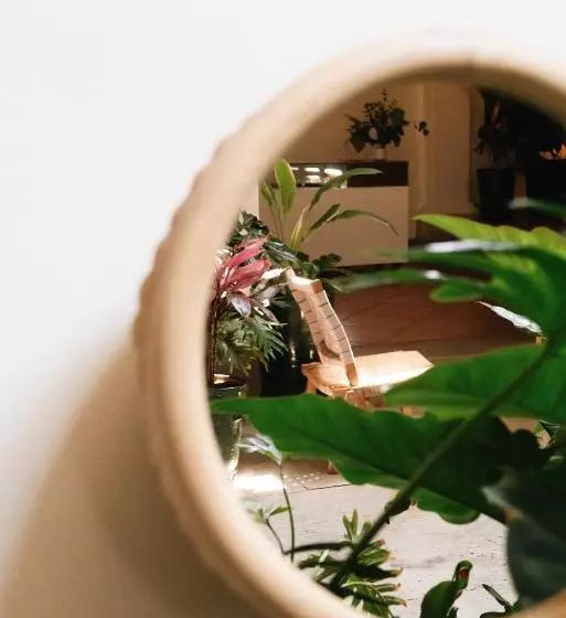 فندق Los Pilares