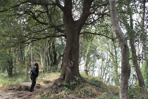 فندق Ristorante Montallegro