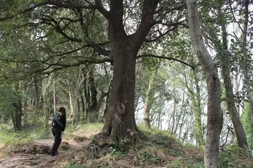 酒店 Ristorante Montallegro