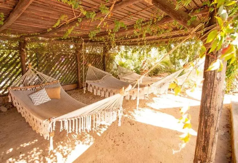 Hotel Olas De Cerritos