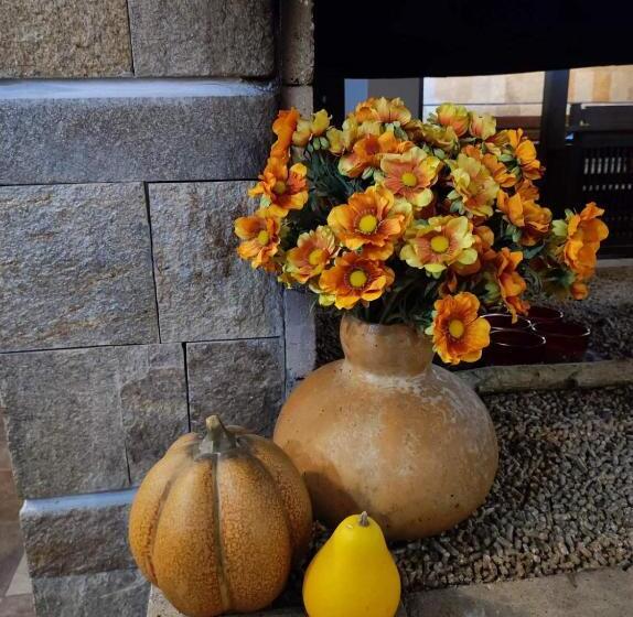 酒店 Famil Adults Only