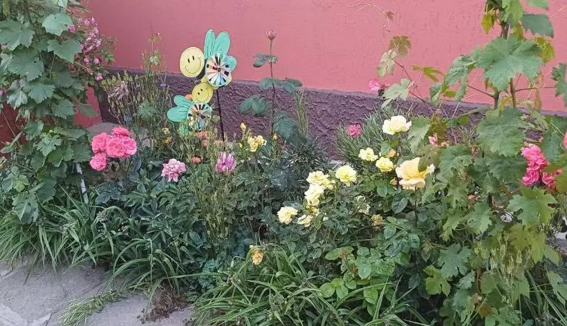 پانسیون Casa Ella
