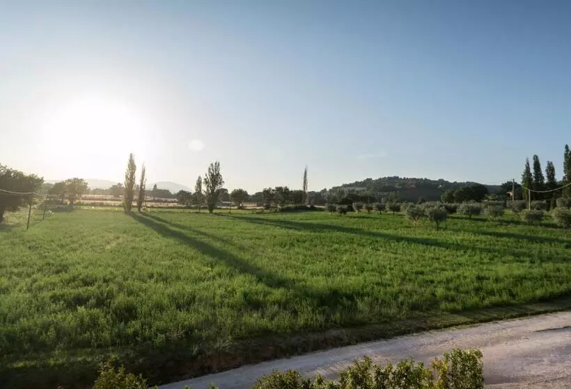 Bed & Breakfast Al Pian D'assisi