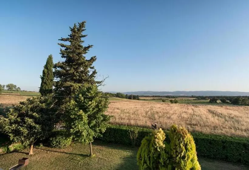 Bed & Breakfast Al Pian D'assisi