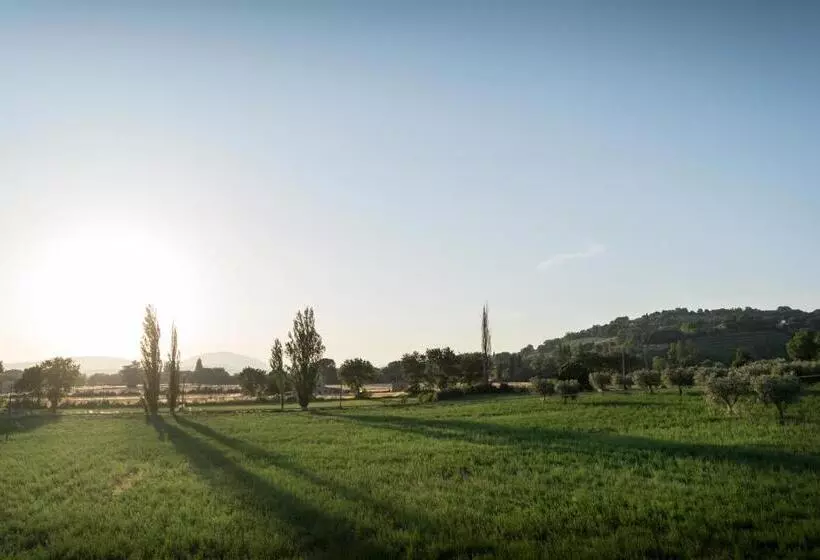 Bed & Breakfast Al Pian D'assisi