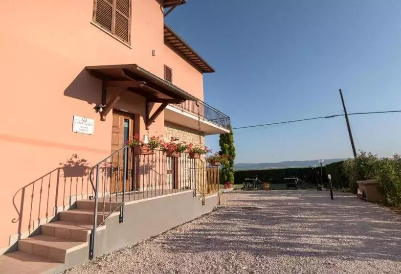 Bed & Breakfast Al Pian D'assisi
