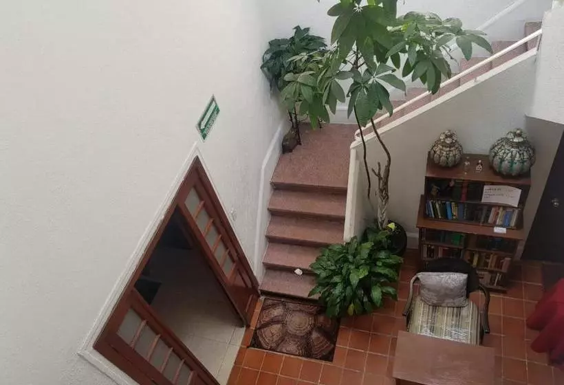 ホテル Casa Maria Elena Condesa