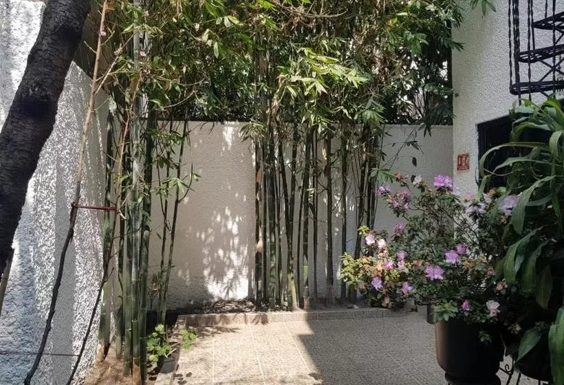 ホテル Casa Maria Elena Condesa