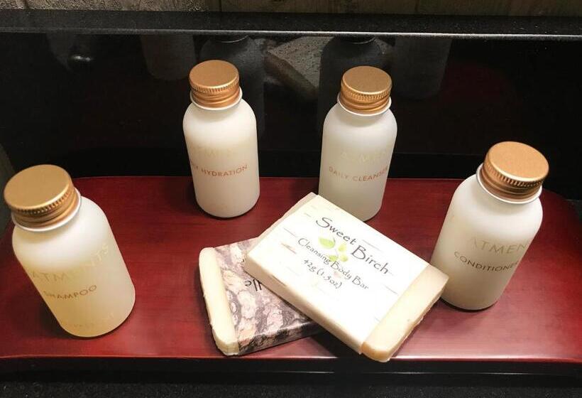 בית מלון כפרי Copper River Inn