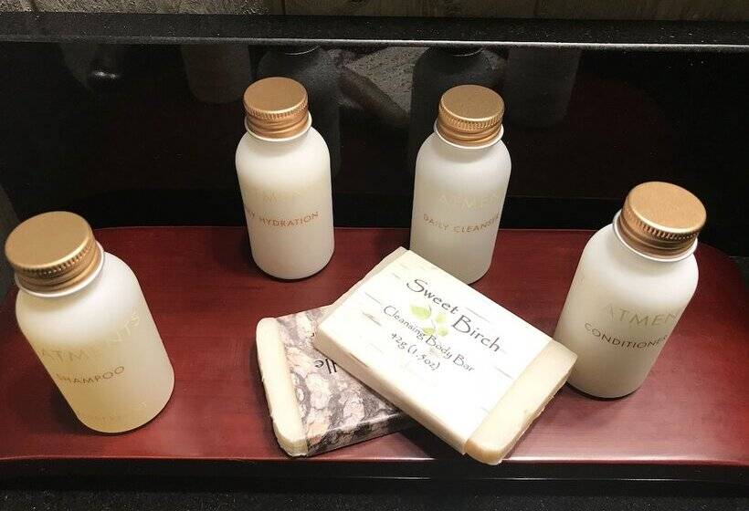 בית מלון כפרי Copper River Inn