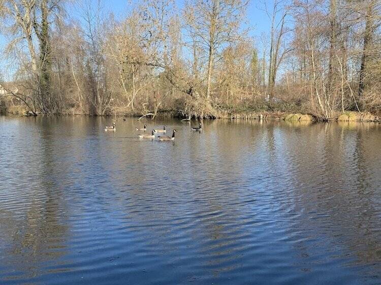 בית מלון כפרי Hôtel De L Ile Du Saussay