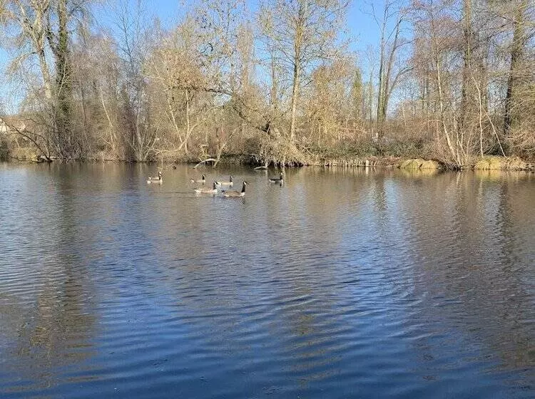 호텔 Hôtel De L Ile Du Saussay