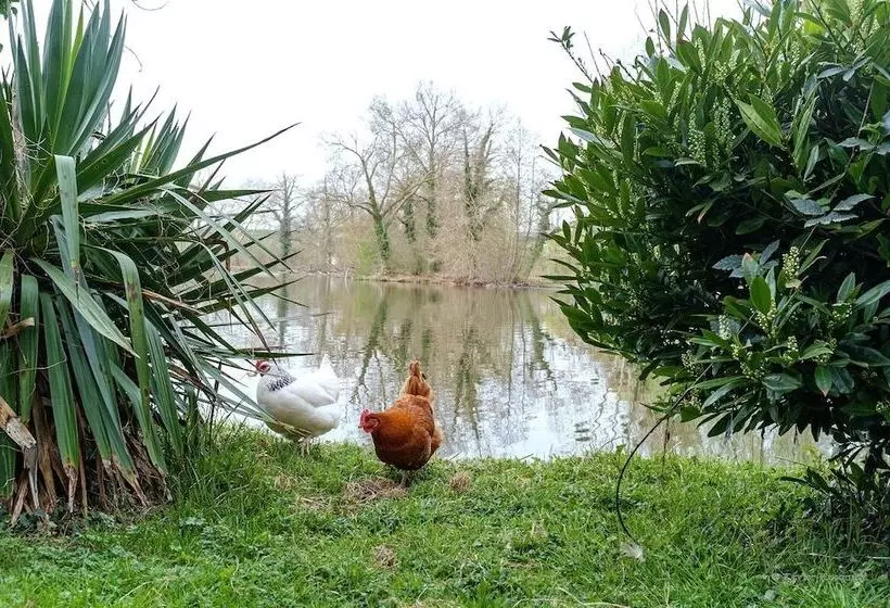 호텔 Hôtel De L Ile Du Saussay