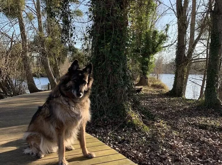 호텔 Hôtel De L Ile Du Saussay