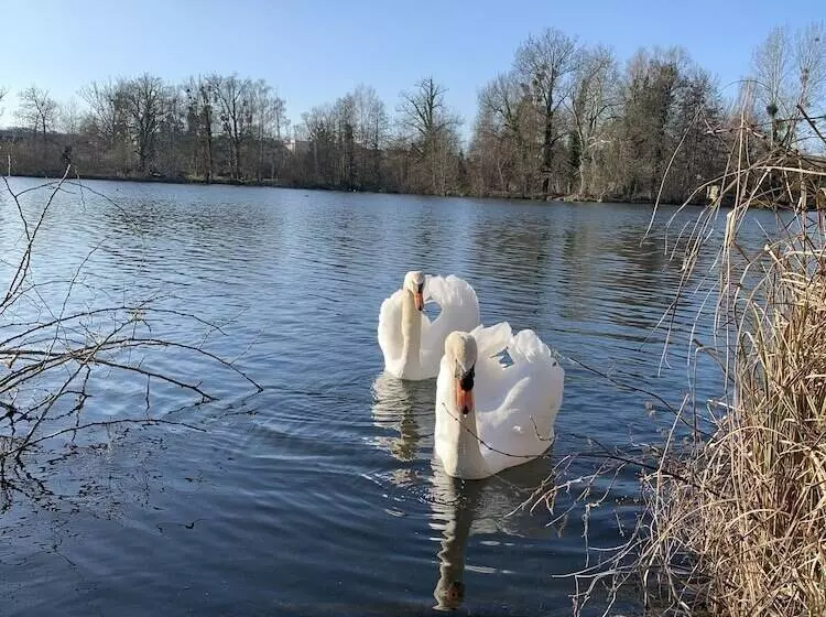 호텔 Hôtel De L Ile Du Saussay