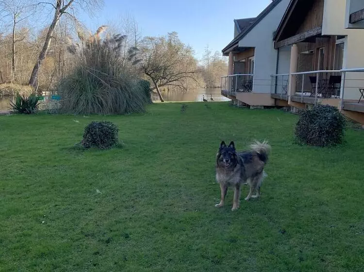 호텔 Hôtel De L Ile Du Saussay